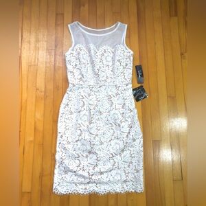 Lulus Fitted Lace Dress